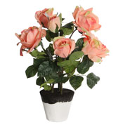 Artificial Plant - Peach Rose - MICA